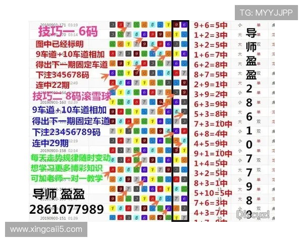 北京飞船开奖结果最新公布查询与数据分析